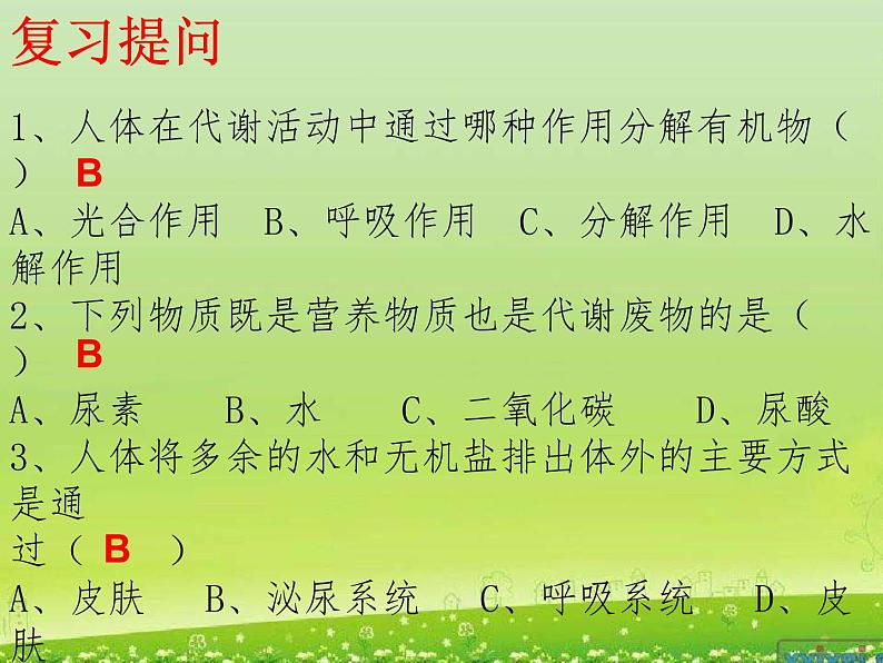 第十一章第二节尿的形成与排出（第一课时）课件2021-2022学年北师大版七年级生物下册02