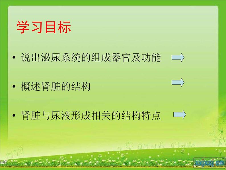 第十一章第二节尿的形成与排出（第一课时）课件2021-2022学年北师大版七年级生物下册04