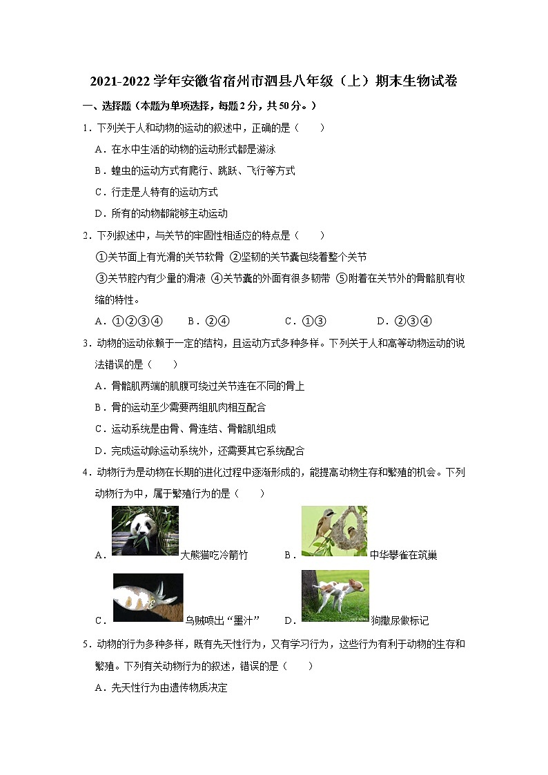 2021-2022学年安徽省宿州市泗县八年级（上）期末生物试卷   解析版01