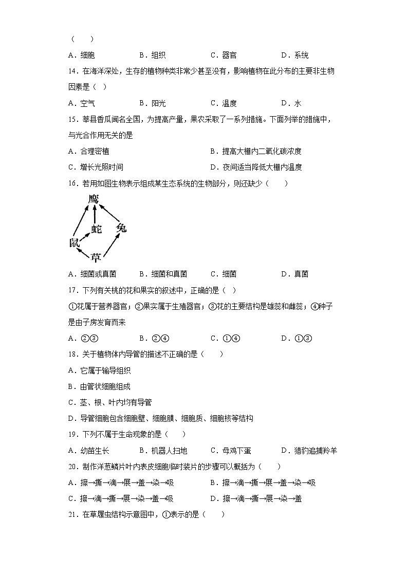 安徽省芜湖市无为市2021-2022学年七年级上学期期末生物试题（word版 含答案）第3页