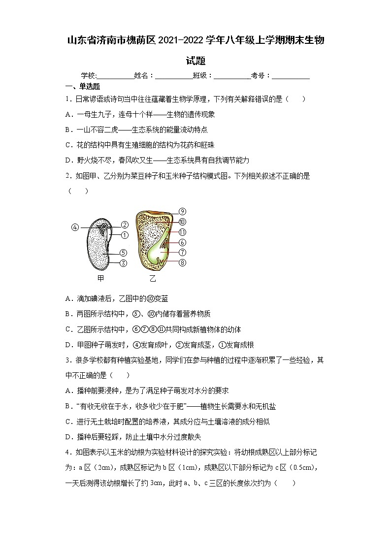 山东省济南市槐荫区2021-2022学年八年级上学期期末生物试题（word版 含答案）01