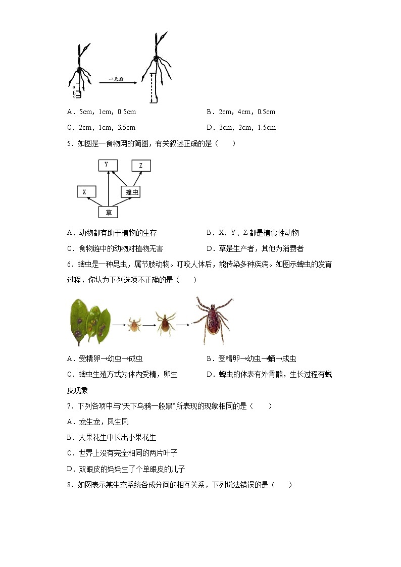 山东省济南市槐荫区2021-2022学年八年级上学期期末生物试题（word版 含答案）02