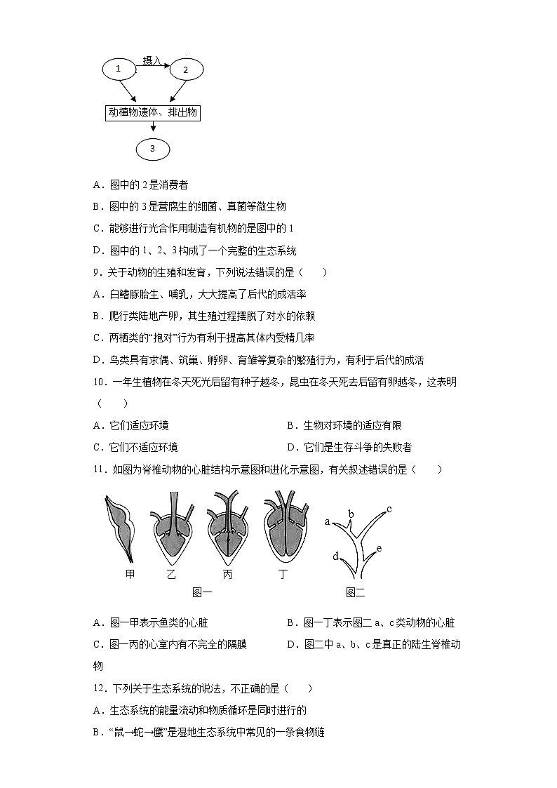 山东省济南市槐荫区2021-2022学年八年级上学期期末生物试题（word版 含答案）03