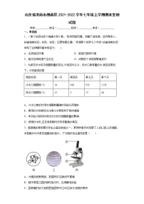 山东省济南市槐荫区2021-2022学年七年级上学期期末生物试题（word版 含答案）