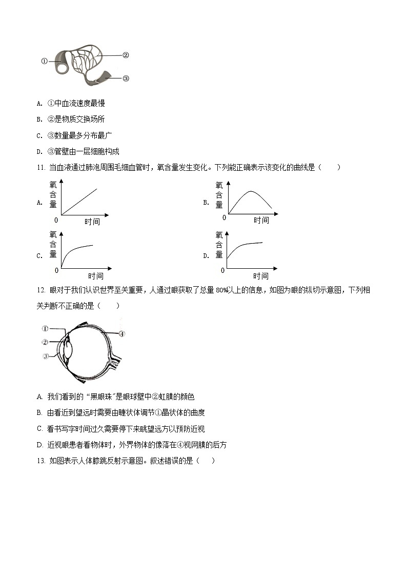精品解析：2020年山东省菏泽市曹县九年级中考二模考试生物试题(解析版+原卷版)03