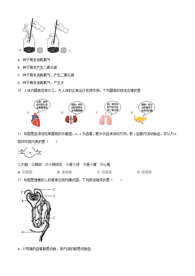 精品解析：2020年山东省菏泽市东明县中考二模生物试题(解析版+原卷版)03
