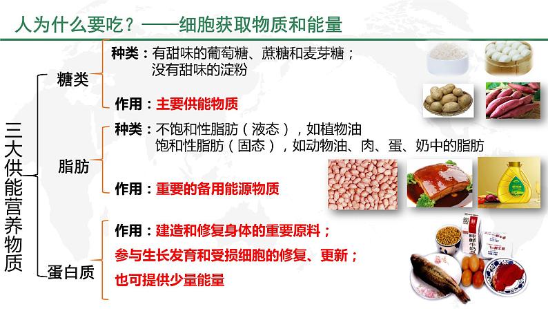 4-2-1食物中的营养物质课件2021--2022学年人教版生物七年级下册第6页