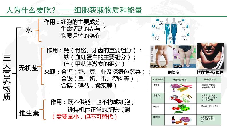 4-2-1食物中的营养物质课件2021--2022学年人教版生物七年级下册第7页