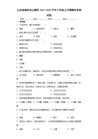 江苏省扬州市江都区2021-2022学年七年级上学期期末生物试题（word版 含答案）