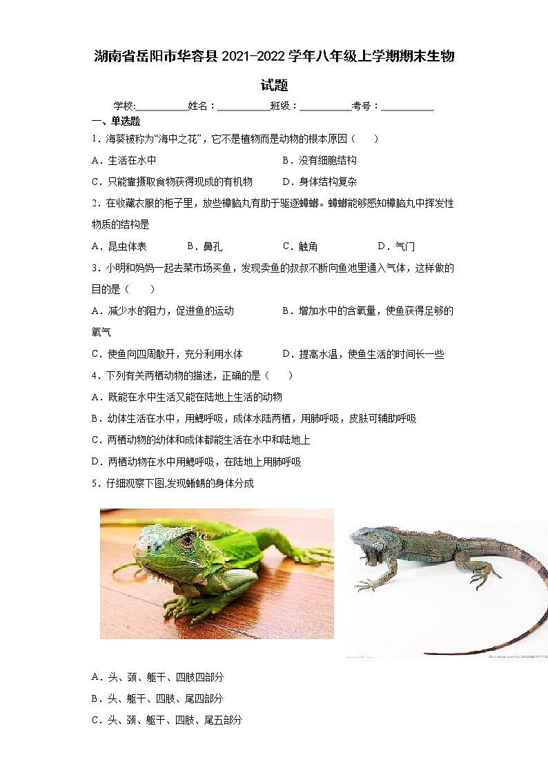 湖南省岳阳市华容县2021-2022学年八年级上学期期末生物试题（word版 含答案）01