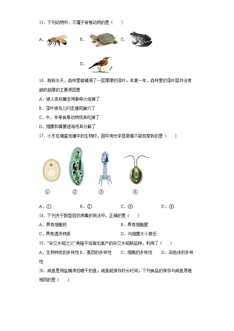 湖南省岳阳市华容县2021-2022学年八年级上学期期末生物试题（word版 含答案）03
