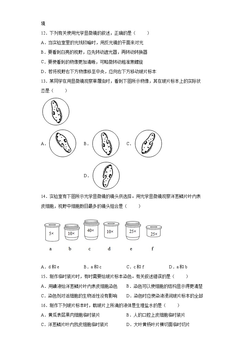 山东省泰安市2021-2022学年六年级上学期期末抽测生物试题（word版 含答案）第3页