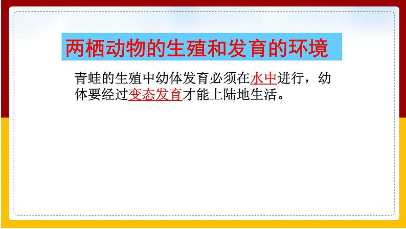 第21章 生物的生殖与发育 第4节 两栖类的生殖与生育课件PPT07