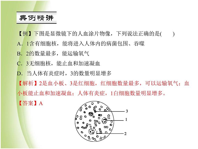 七年级生物下册第四单元生物圈中的人第四章人体内物质的运输第一节流动的组织__血液作业课件新人教版第5页