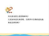 八年级生物下册第七单元生物圈中生命的延续和发展第三章生命起源和生物进化第二节生物进化的历程教学课件新人教版