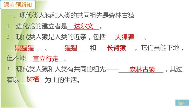 七年级生物下册第四单元生物圈中的人第一章人的由来第一节人类的起源和发展作业课件新人教版第5页