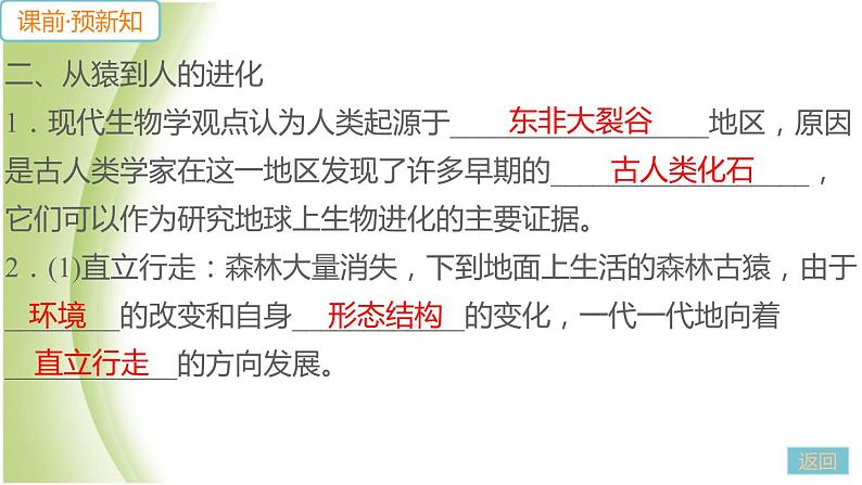 七年级生物下册第四单元生物圈中的人第一章人的由来第一节人类的起源和发展作业课件新人教版第6页