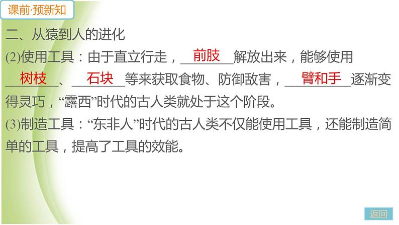 七年级生物下册第四单元生物圈中的人第一章人的由来第一节人类的起源和发展作业课件新人教版第7页