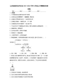 江苏省泰州市兴化市2021-2022学年七年级上学期期末生物试题（word版 含答案）