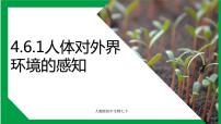 生物七年级下册第一节 人体对外界环境的感知示范课课件ppt