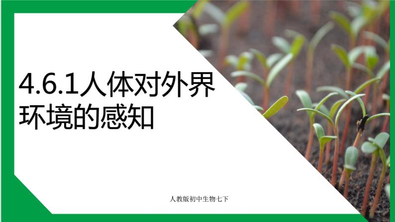 生物七年級下冊第一節人體對外界環境的感知示範課課件ppt