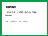 4.6.1人体对外界环境的感知（课件+教案+练习+导学案）