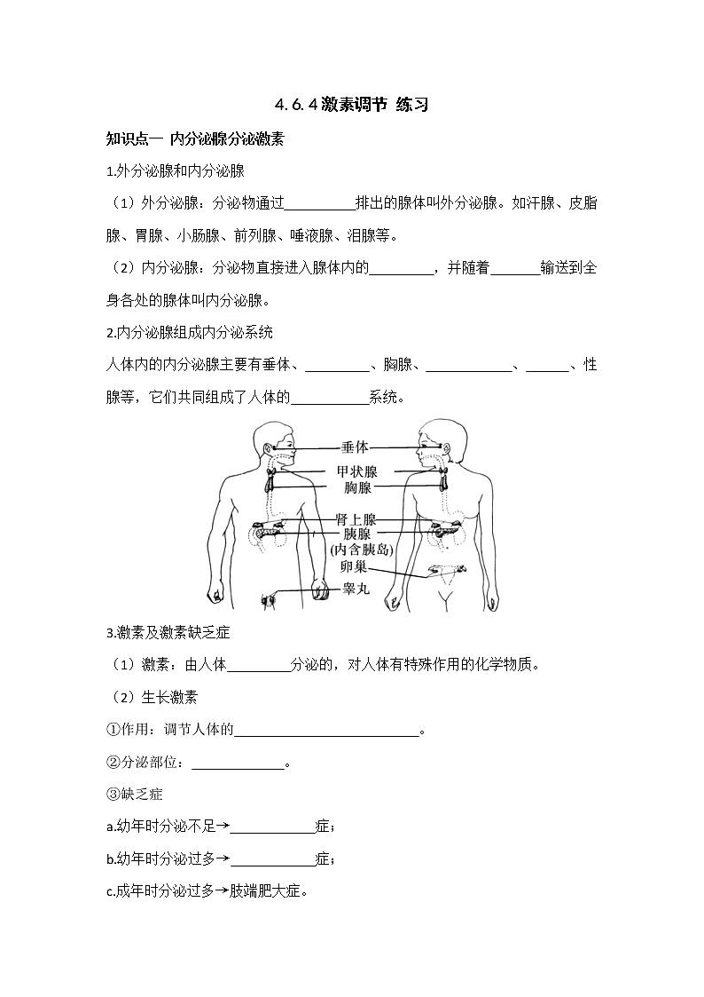 4.6.4激素调节（课件+教案+练习+导学案）01
