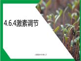 4.6.4激素调节（课件+教案+练习+导学案）