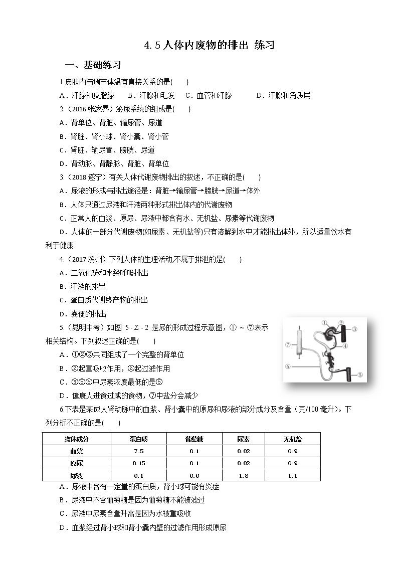 4.5人体内废物的排出（课件+教案+练习+导学案）01