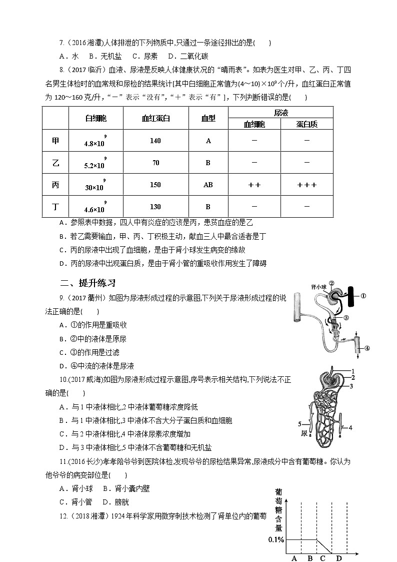 4.5人体内废物的排出（课件+教案+练习+导学案）02