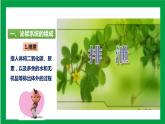 4.5人体内废物的排出（课件+教案+练习+导学案）