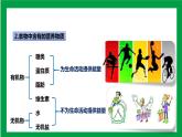 4.2.1食物中的营养物质（课件+教案+练习+导学案）