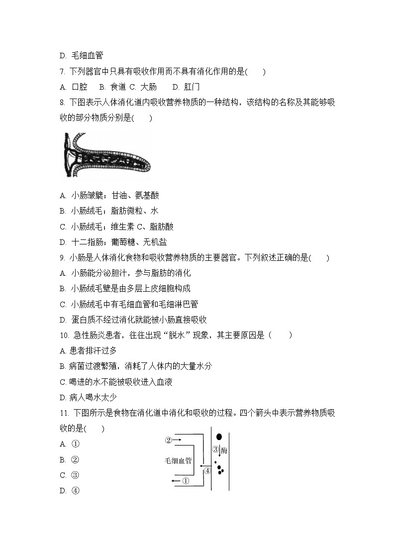 4.2.2 消化和吸收 第二课时 练习第2页