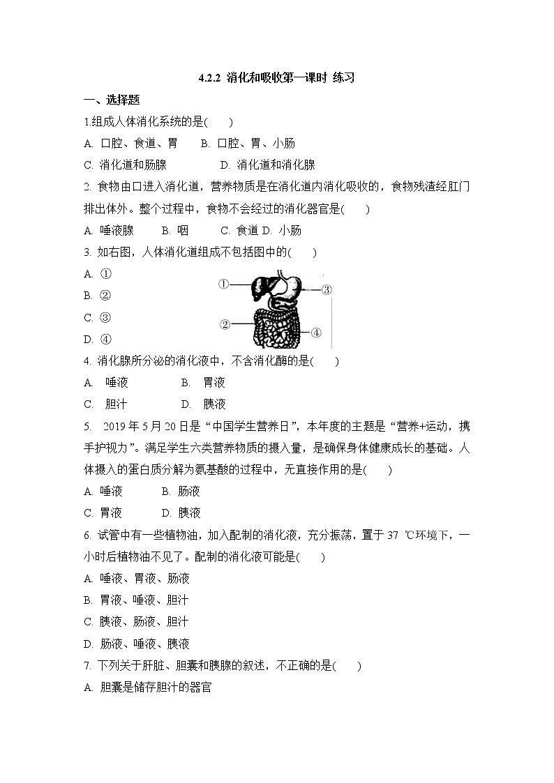 4.2.2消化和吸收 第一课时（课件+教案+练习+导学案）01