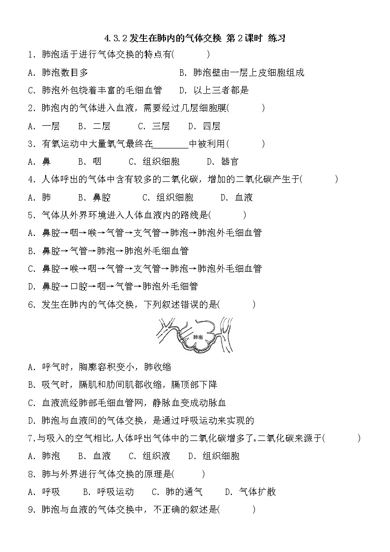4.3.2发生在肺内的气体交换 第2课时（课件+教案+练习+导学案）01