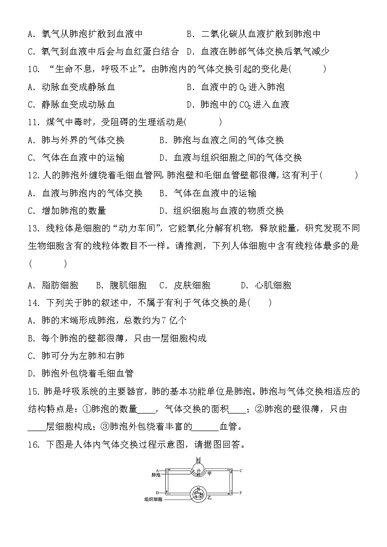 4.3.2发生在肺内的气体交换 第2课时（课件+教案+练习+导学案）02