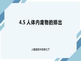 4.5 人体内废物的排出（课件+教案+练习+导学案）