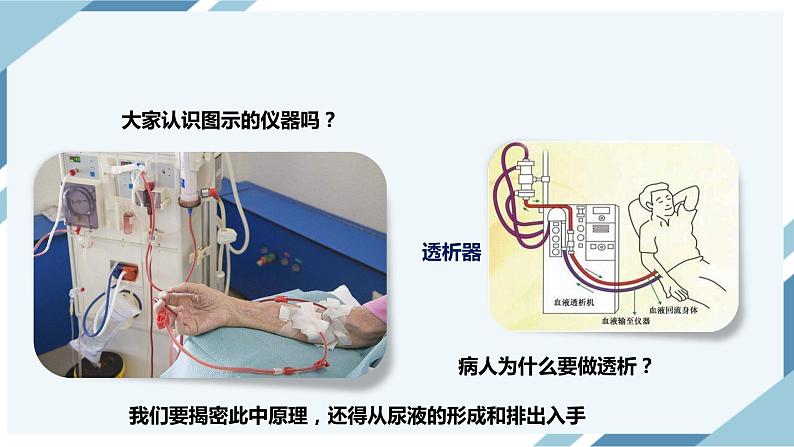 4.5 人体内废物的排出 课件第2页