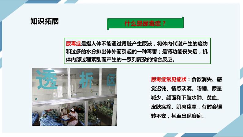 4.5 人体内废物的排出 课件第3页