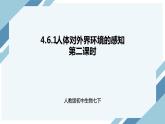 4.6.1人体对外界环境的感知 第二课时（课件+教案+练习+导学案）