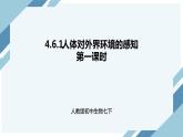 4.6.1人体对外界环境的感知 第一课时（课件+教案+练习+导学案）