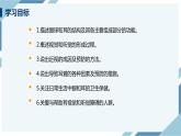 4.6.1人体对外界环境的感知 第一课时（课件+教案+练习+导学案）