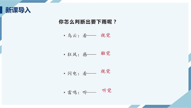 4.6.1人体对外界环境的感知 第一课时 课件第4页