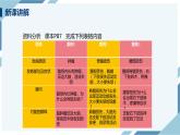 4.6.2神经系统的组成（课件+教案+练习+导学案）