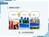 4.7.2 探究环境污染对生物的影响（课件+教案+练习+导学案）