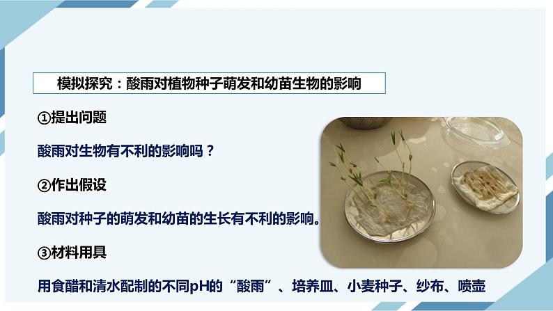 4.7.2 探究环境污染对生物的影响（课件+教案+练习+导学案）08