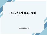 4.1.2人的生殖 第二课时（课件+教案+练习+导学案）