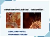 4.1.2人的生殖 第一课时（课件+教案+练习+导学案）