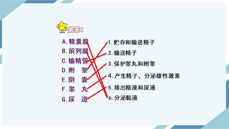 4.1.2人的生殖 第一课时 课件第8页