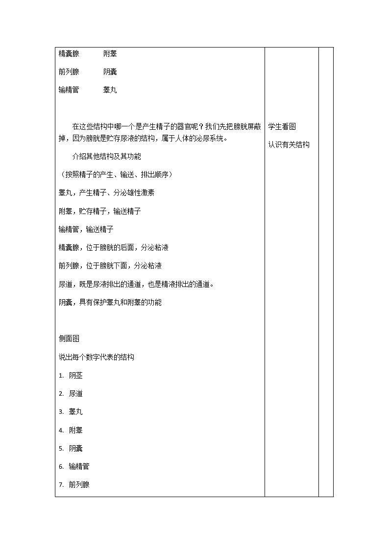 4.1.2人的生殖 第一课时 教案第3页